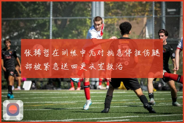 张稀哲在训练中无对抗急停扭伤腿部被紧急送回更衣室救治